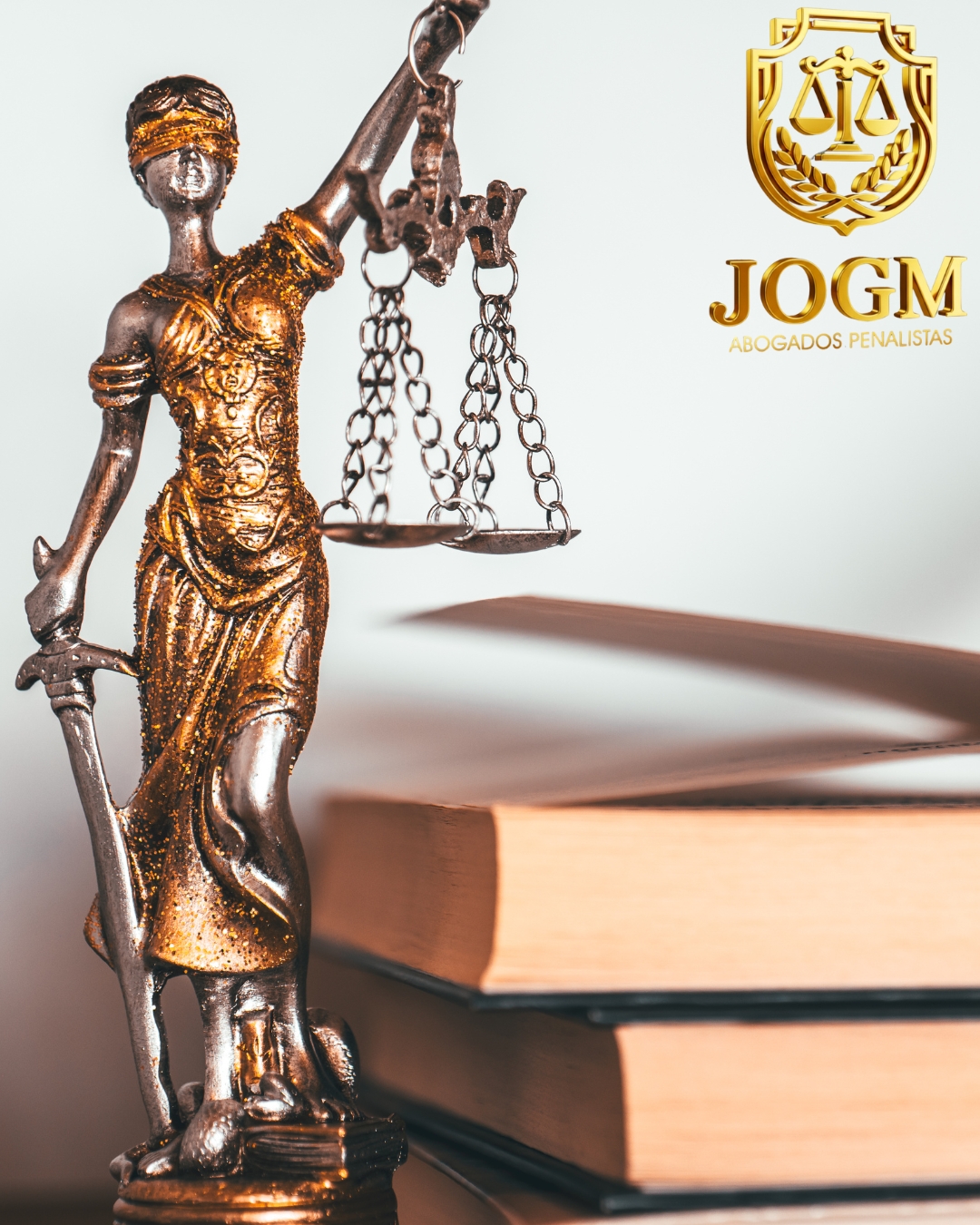 servicios en materia penal